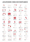 anatomie_der_buchstaben