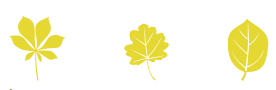 FontShop: Leaves